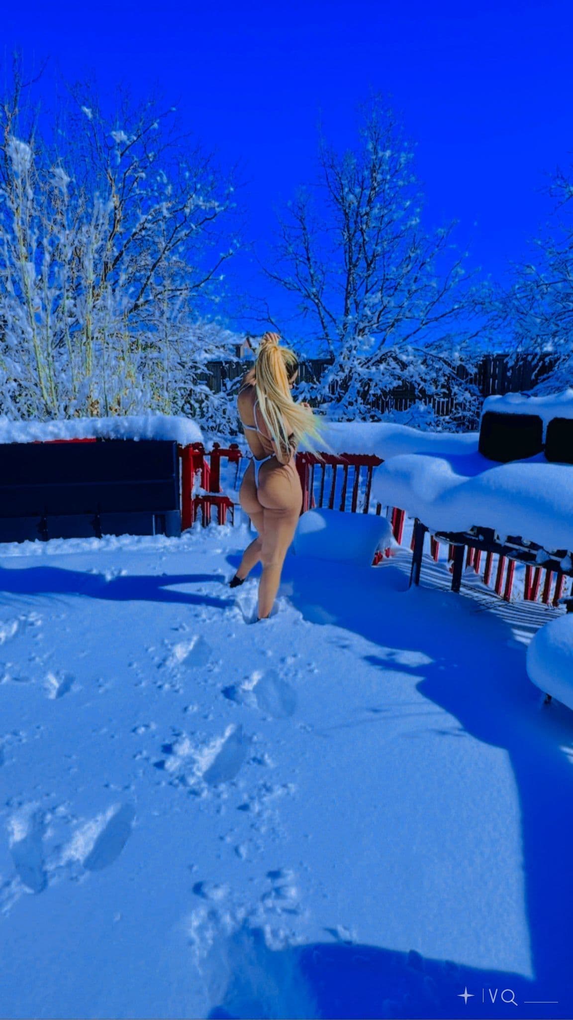 Suelen Divine — dama de compañía de lujo en Austin, Texas